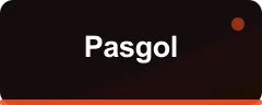 Pasgol logo